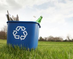 Separar os recicláveis deve fazer parte do nosso dia-a-dia